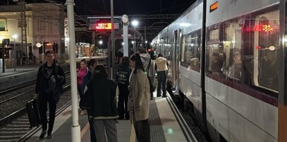 Uno de los trenes parados por la avería.