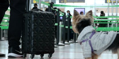 Imagen de una maleta en un aeropuerto