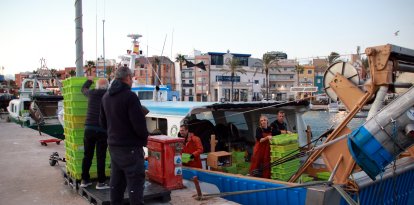Pescadores de Tarragona descargando capturas de una embarcación de arrastre