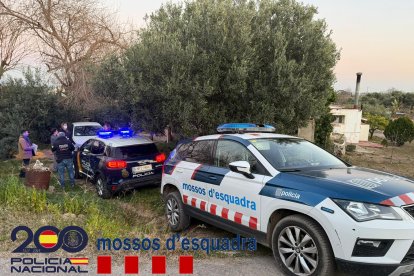 Imagen de los agentes de los Mossos y de la Policía Nacional en la finca donde se halló el cadáver en Riudecols