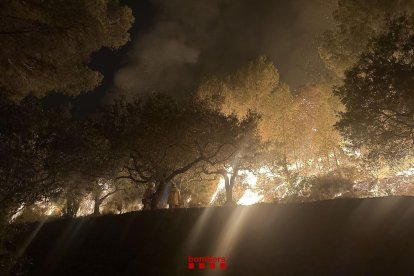 Imagen de los Bombers luchando por controlar el incendio forestal en el Baix Ebre