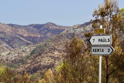 Imagen de como ha quedado parte de la zona quemada por el incendio en Paüls