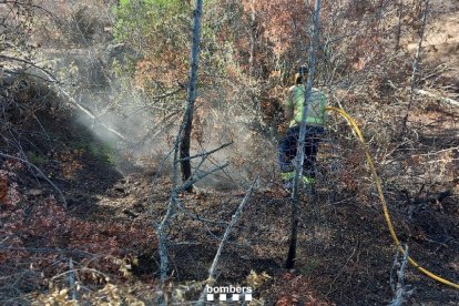 Bombers ha tenido que remojar el tronco de un arbol que humeaba en Xerta, en el perímetro del incendio de Paüls