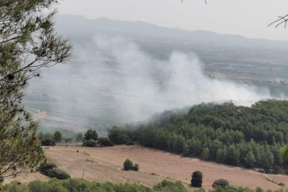 El fuego se localiza cerca de la carretera N-240, entre Valls y Montblanc.