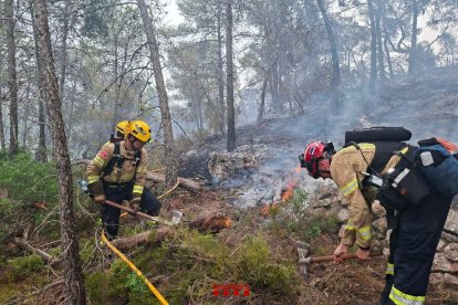 Dos bomberos trabajando en el incendio de Riba-roja d'Ebre