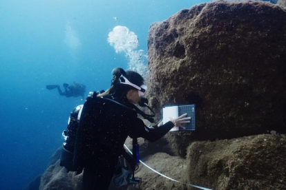 Científicos del NAR hacen seguimiento de comunidades del fondo marino.