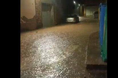 Imagen del estado del barranco de la Faneca en Móra d'Ebre