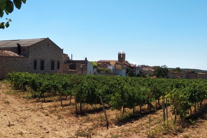 Los hechos ocurrieron en la pedanía de Les Pobles, en el término de Aiguamúrcia.