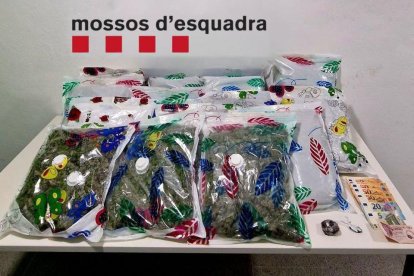 Toda la marihuana incautada por los Mossos d'Esquadra, después de que un hombre lanzara las bolsas por la ventana del hotel