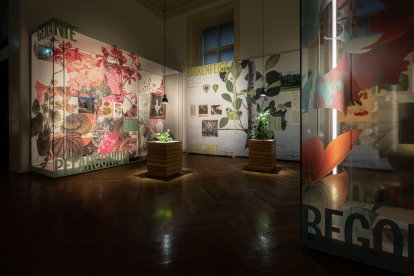 Vista de la exposición 'Colonialismo en el alféizar'. Foto: EFE/Naturhistorisches Museum Wien