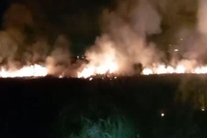 Imagen de uno de los incendios de vegetación declarados esta madrugada en La Canonja (Tarragona)