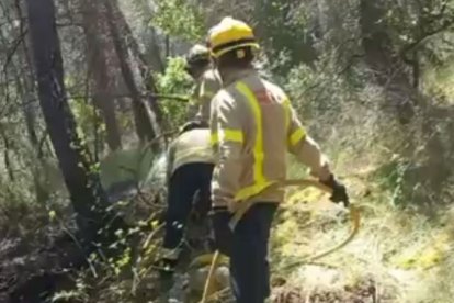 Imagen de los Bombers trabajando en el incendio forestal en Ulldemolins