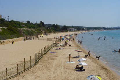 Imagen de la zona vallada en la Platja Llarga de Tarragona que delimita el espacio que pueden ocupar los perros