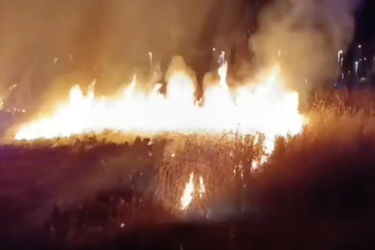 Imagen del incendio de matojos en Tarragona