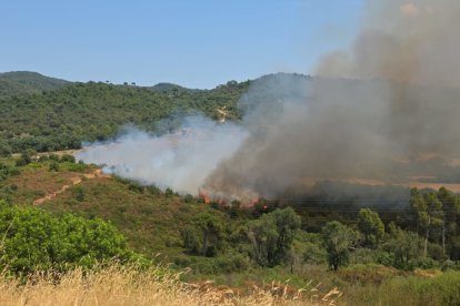 Imagen del incendio forestal que se ha declarado hoy en Girona