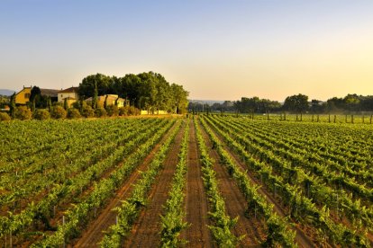 DO Penedès