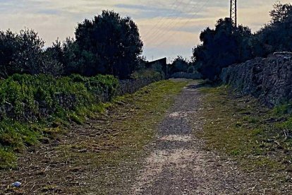 Vía Augusta Vendrell