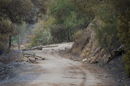 La Via Verda, en Aldover