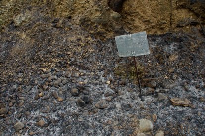 Imagen del estado en que ha quedado la Vía Verda de Aldover tras el paso del fuego