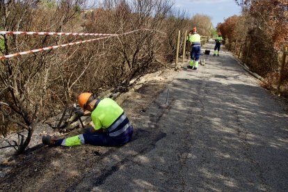 Reparació dels danys a la Via Verda, a Aldover.