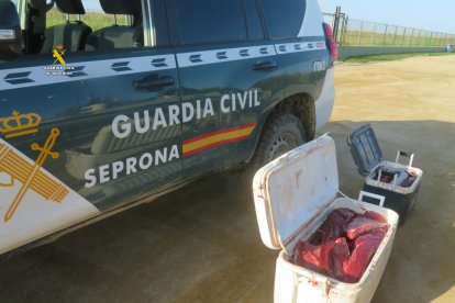 atún intervenido por la guardia civil