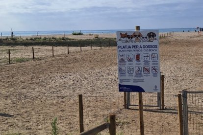 playa perros coma-ruga