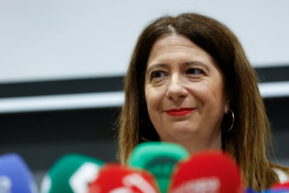 leire diez psoe