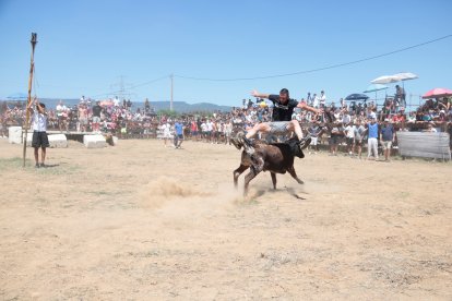 Un hombre salta por encima de una vaquilla en las fiestas de El Morell.