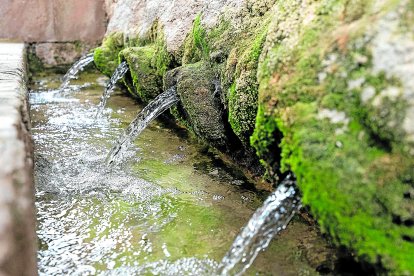 Les fonts de Sant Magí de la Brufaganya.