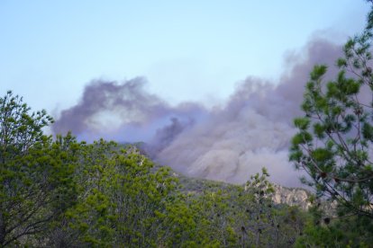 Los bosques están secos y cualquier chispa puede causar un incendio.