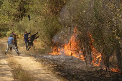 La ola de incendios que afecta al noroeste de España no da tregua.