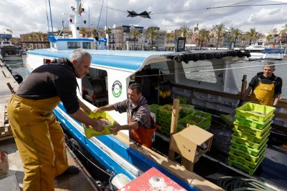 Se pretende fomentar el pescado salido de las lonjas catalanas.