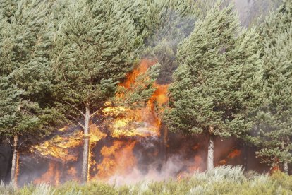 Incendio en Ourense