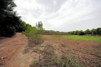 Los terrenos en los que se quiere construir el nuevo complejo deportivo de Llevant.