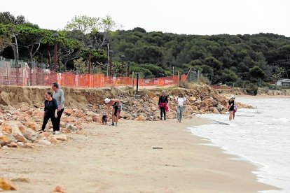 El aspecto actual de algún tramo de la playa Llarga de Tarragona es preocupante. FOTO: PERE FERRÉ