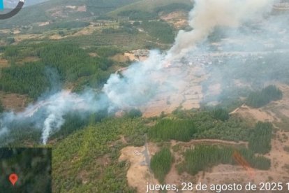 Incendio foresta en Berlanga del Bierzo.