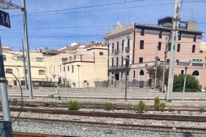 El buitre cerca de las vías del tren.