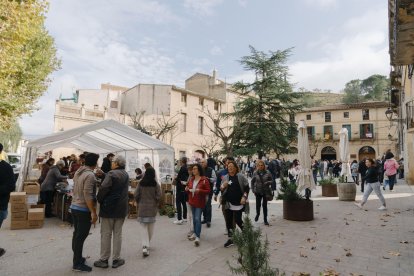 Imatge d'arxiu del Tasta Porrera, que se celebra a la plaça Catalunya del mateix poble.