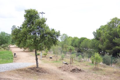 El parc desplegat a la zona del convent de les Clarisses.