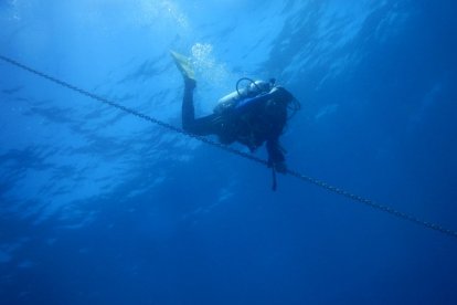 Una persona practicando submarinismo.