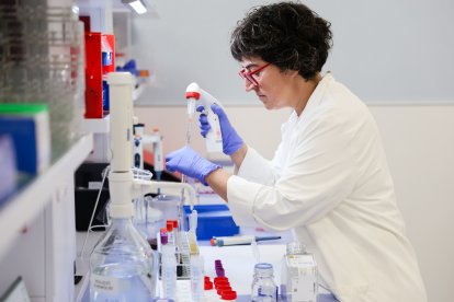 La UIC ha obtingunt un finançament de 4,3 milions d'euros.