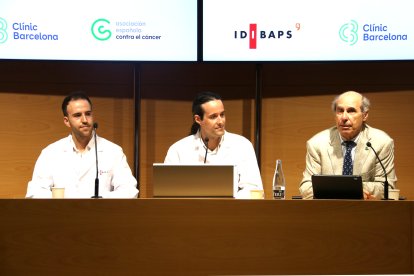 Gracias al acceso a historiales clínicos anonimizados, se ha podido correlacionar la evolución del tumor con su agresividad