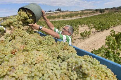 Imagen de archivo de un agricultor