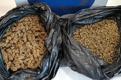 La marihuana encontrada en Calafell.