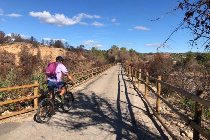 Un ciclista per la Via Verda, entre Aldover i Xerta.