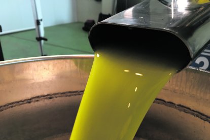 Aceite de oliva virgen extra.