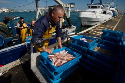 La Confraria de la Ràpita acumula un 40% de pèrdues des del 2020.