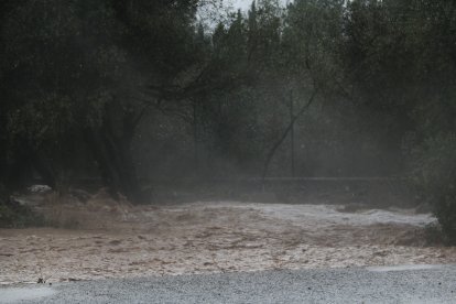 Imagen de las lluvias en La Ràpita