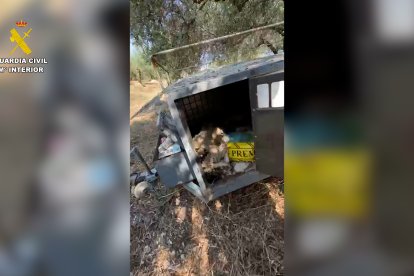 Uno de los lugares donde se identificó a los animales.