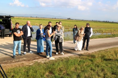 Visita per conèixer els danys als camps d'arròs del Delta.